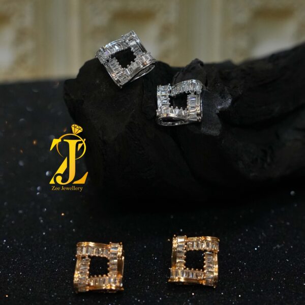 Elegant Beaded Earrings (ER602)