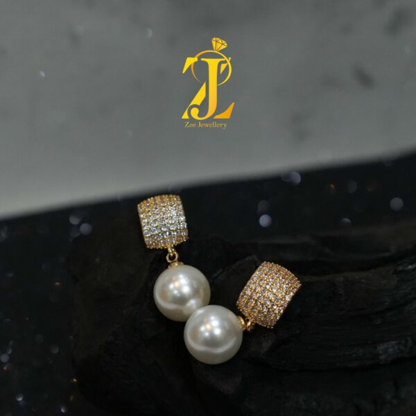 Elegant Beaded Earrings (ER603)